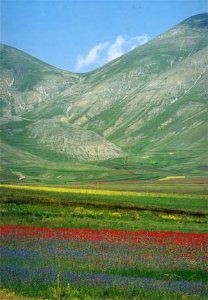 La piana di Castelluccio